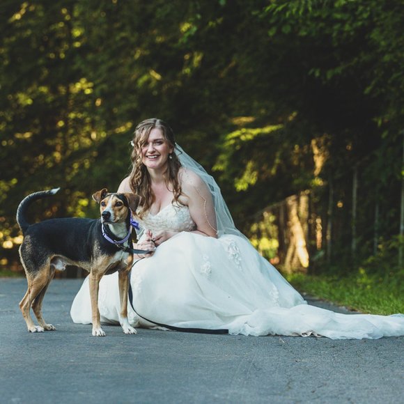 Meet your Posher, Dani - Picture 1 of 1